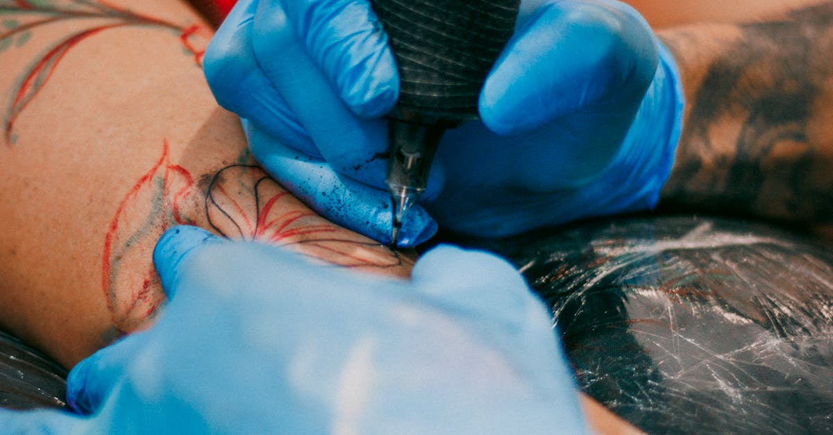 Comparing Cleanliness Ratings of Popular Tattoo Shops on the Sunshine Coast